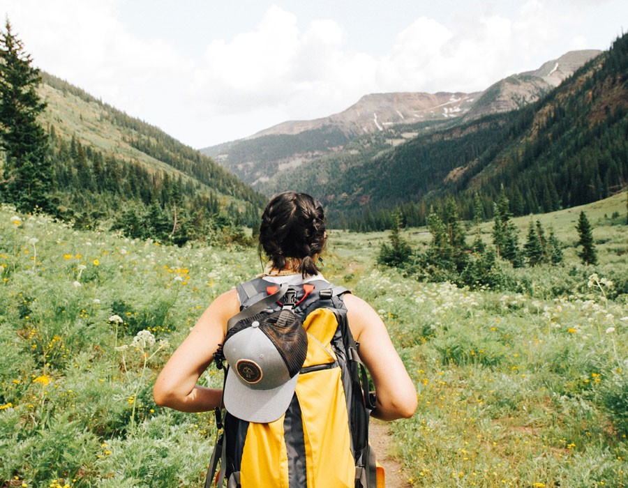 Quisque egestas diam in arcu cursus euismod quis