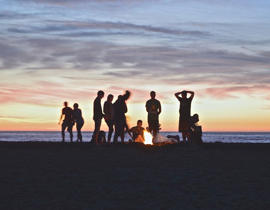 Quisque egestas diam in arcu cursus euismod quis